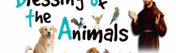 Annual Blessing of Animals