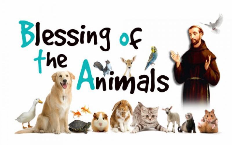 blessing-of-the-animals-st-francis-feast-day