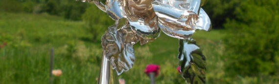 Silver Rose Prayer Service for Life